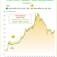 (Interactive) Giá vàng miếng sáng 25/8/2026
