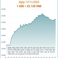 (Interactive) Tỷ giá trung tâm ngày 17/11/2025: 1 USD = 25.120 VND