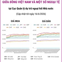 (Interactive) Tỷ giá tham khảo giữa Đồng Việt Nam và một số ngoại tệ ngày...