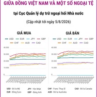 (Interactive) Tỷ giá tham khảo giữa Đồng Việt Nam và một số ngoại tệ ngày 5/8/2026