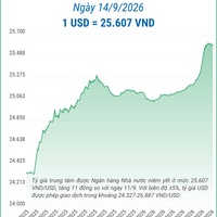 (Interactive) Tỷ giá trung tâm ngày 14/9/2026: 1 USD = 25.607 VND