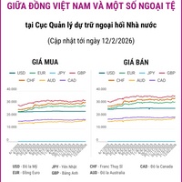 (Interactive) Tỷ giá tham khảo giữa Đồng Việt Nam và một số ngoại tệ ngày...