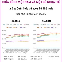 (Interactive) Tỷ giá tham khảo giữa Đồng Việt Nam và một số ngoại tệ ngày 24/10/2025