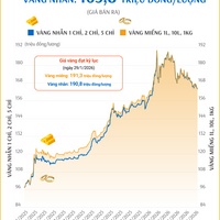 (Interactive) Giá vàng miếng sáng 15/5/2026