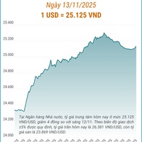 (Interactive) Tỷ giá trung tâm ngày 13/11/2025: 1 USD = 25.125 VND