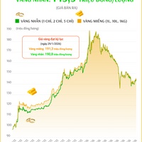 (Interactive) Giá vàng miếng sáng 12/8/2026