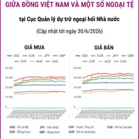 (Interactive) Tỷ giá tham khảo giữa Đồng Việt Nam và một số ngoại tệ ngày 30/6/2026