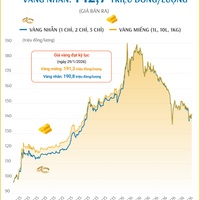 (Interactive) Giá vàng miếng sáng 31/7/2026