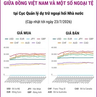 (Interactive) Tỷ giá tham khảo giữa Đồng Việt Nam và một số ngoại tệ ngày...