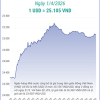 (Interactive) Tỷ giá trung tâm ngày 1/4/2026: 1 USD = 25.105 VND