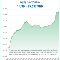 (Interactive) Tỷ giá trung tâm ngày 18/9/2026: 1 USD = 25.637 VND