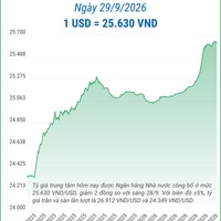 (Interactive) Tỷ giá trung tâm ngày 29/9/2026: 1 USD = 25.630 VND