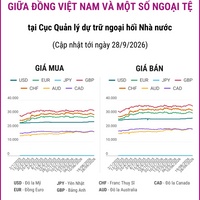 (Interactive) Tỷ giá tham khảo giữa Đồng Việt Nam và một số ngoại tệ ngày...