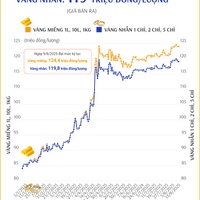 (Interactive) Sáng ngày 13/8/2025: Giá vàng giữ nguyên giá, vàng miếng ở mức 123,9 triệu đồng/lượng