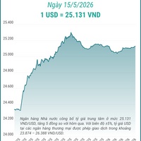 (Interactive) Tỷ giá trung tâm ngày 15/5/2026: 1 USD = 25.131 VND