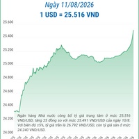 (Interactive) Tỷ giá trung tâm ngày 11/8/2026: 1 USD = 25.516 VND
