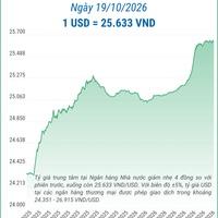 (Interactive) Tỷ giá trung tâm ngày 19/10/2026: 1 USD = 25.633 VND