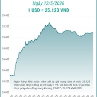 (Interactive) Tỷ giá trung tâm ngày 12/5/2026: 1 USD = 25.123 VND