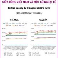 (Interactive) Tỷ giá tham khảo giữa Đồng Việt Nam và một số ngoại tệ ngày...