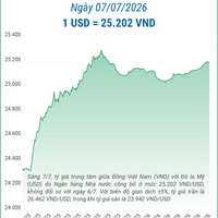 (Interactive) Tỷ giá trung tâm ngày 7/7/2026: 1 USD = 25.202 VND