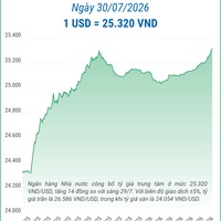 (Interactive) Tỷ giá trung tâm ngày 30/7/2026: 1 USD = 25.320 VND