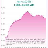 (Interactive) Tỷ giá trung tâm ngày 5/3/2026: 1 USD = 25.055 VND