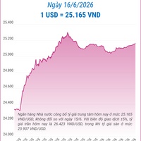 (Interactive) Tỷ giá trung tâm ngày 16/6/2026: 1 USD = 25.165 VND
