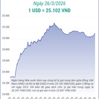 (Interactive) Tỷ giá trung tâm ngày 26/3/2026: 1 USD = 25.102 VND