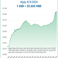 (Interactive) Tỷ giá trung tâm ngày 8/9/2026: 1 USD = 25.603 VND