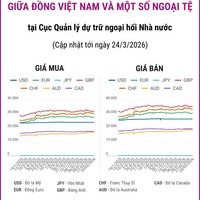 (Interactive) Tỷ giá tham khảo giữa Đồng Việt Nam và một số ngoại tệ ngày...