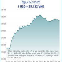 (Interactive) Tỷ giá trung tâm ngày 6/1/2026: 1 USD = 25.122 VND