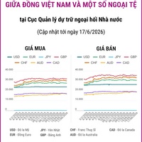 (Interactive) Tỷ giá tham khảo giữa Đồng Việt Nam và một số ngoại tệ ngày...