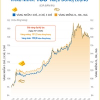 (Interactive) Giá vàng miếng sáng 28/4/2026