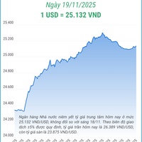 (Interactive) Tỷ giá trung tâm ngày 19/11/2025: 1 USD = 25.132 VND