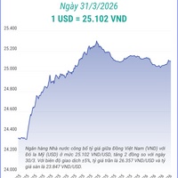 (Interactive) Tỷ giá trung tâm ngày 31/3/2026: 1 USD = 25.102 VND
