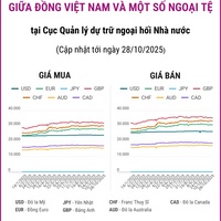 (Interactive) Tỷ giá tham khảo giữa Đồng Việt Nam và một số ngoại tệ ngày 28/10/2025