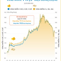 (Interactive) Giá vàng miếng sáng 23/6/2026