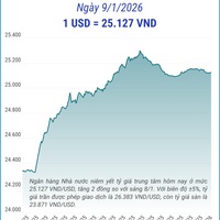 (Interactive) Tỷ giá trung tâm ngày 9/1/2026: 1 USD = 25.127 VND