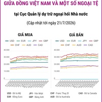 (Interactive) Tỷ giá tham khảo giữa Đồng Việt Nam và một số ngoại tệ ngày 21/7/2026