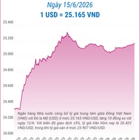 (Interactive) Tỷ giá trung tâm ngày 15/6/2026: 1 USD = 25.165 VND