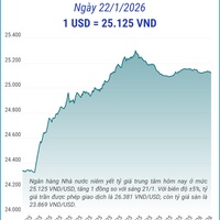 (Interactive) Tỷ giá trung tâm ngày 22/1/2026: 1 USD =  25.125 VND