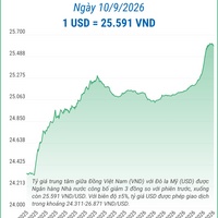 (Interactive) Tỷ giá trung tâm ngày 10/9/2026: 1 USD = 25.591 VND