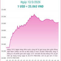 (Interactive) Tỷ giá trung tâm ngày 13/3/2026: 1 USD = 25.065 VND