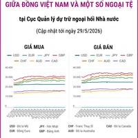 (Interactive) Tỷ giá tham khảo giữa Đồng Việt Nam và một số ngoại tệ ngày...